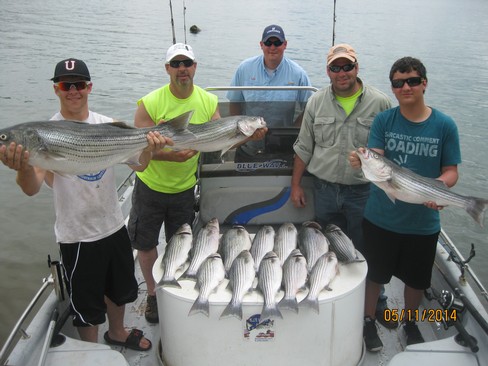 Nice Striped Bass